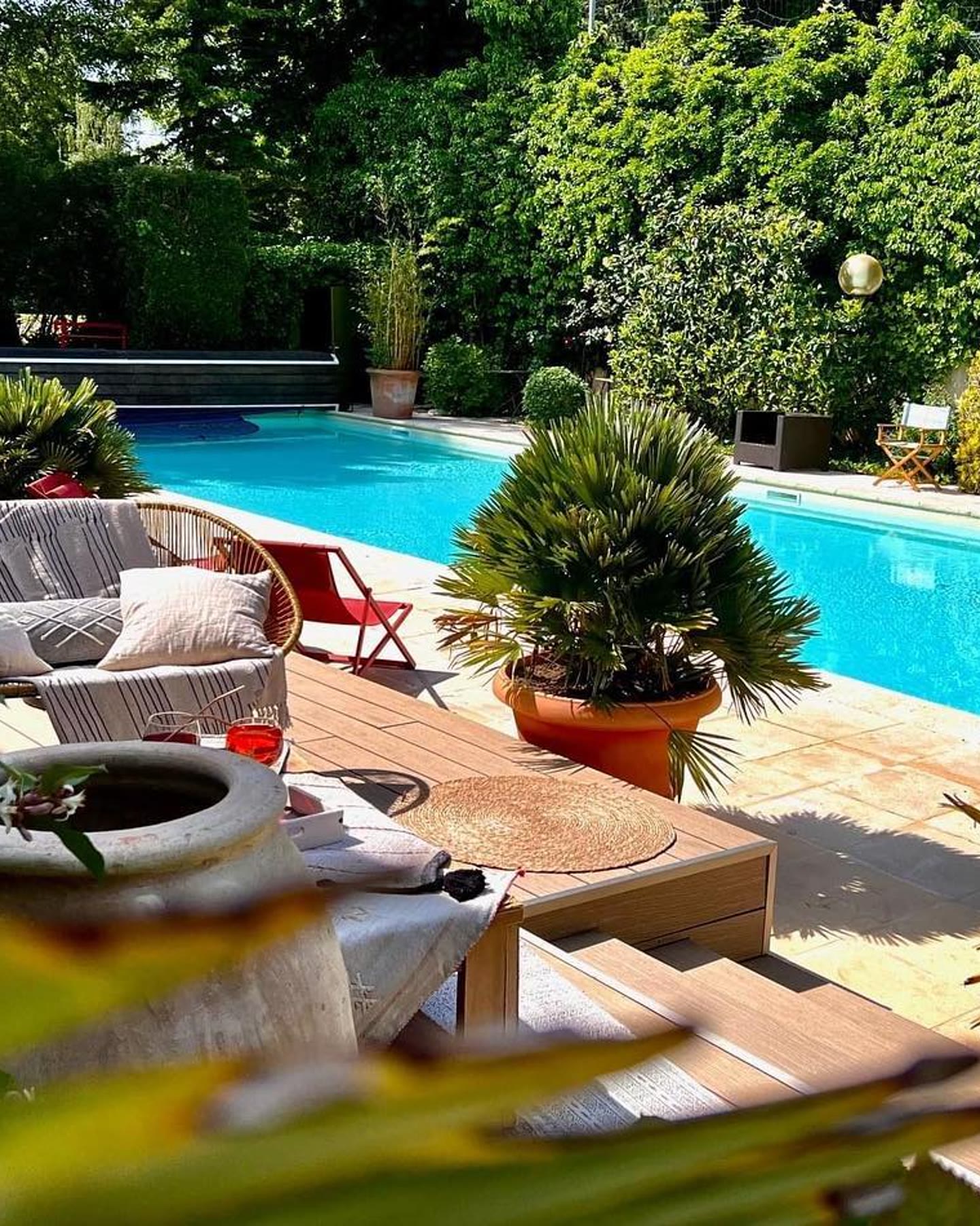 La piscine et son jardin, transats et palmiers en pot